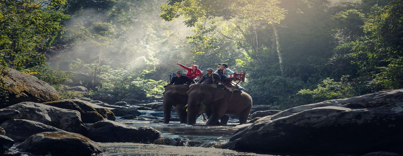 Chitwan Royal Jungle Safari